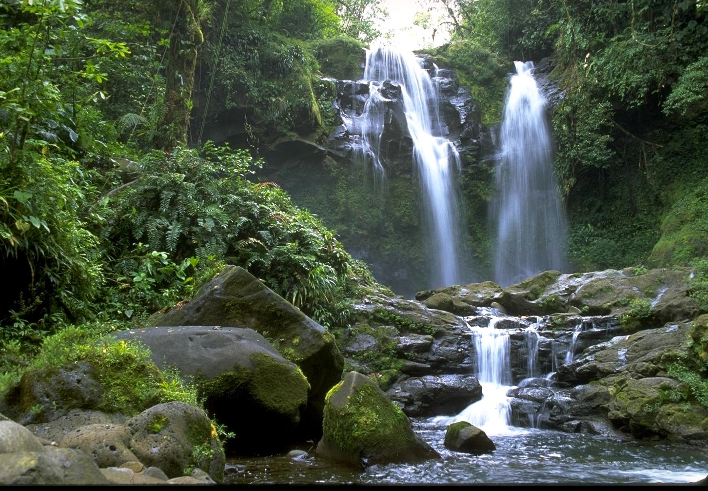 3d обои Тропический водопад  природа # 75573