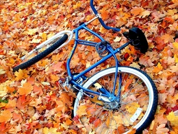 3d обои Синий велосипед в осенних листьях  техника