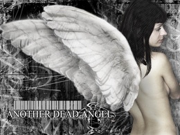 3d обои Another dead angel (над надписью штрих-код и ангел с раскрытыми крыльями)  1280х960