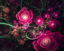 3d обои FLOWERINGS Множество разнообразных роз  абстракция