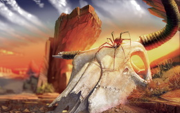 3d обои Что-то дьявольское (В пустыне возлежит череп с рогами, на нём ядовитый паучище)  пауки