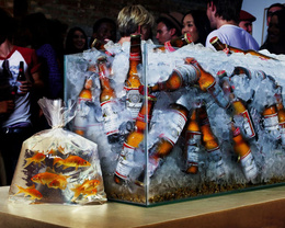 3d обои Рыбок переселили в пакет, для того чтобы положить в аквариум пиво  смешные