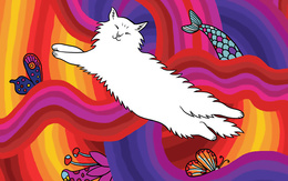 3d обои Белый кот на фоне радуги  позитив