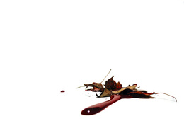 3d обои Осенние сухие листья в крови  минимализм
