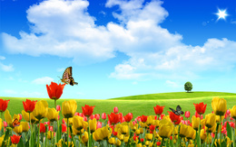 3d обои Зеленые луга, яркое солнце в небе и поле тюльпанов, бабочки  солнце