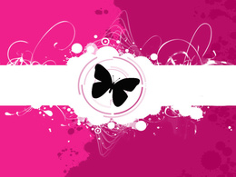 3d обои черная бабочка на бело-розовом фоне  бабочки