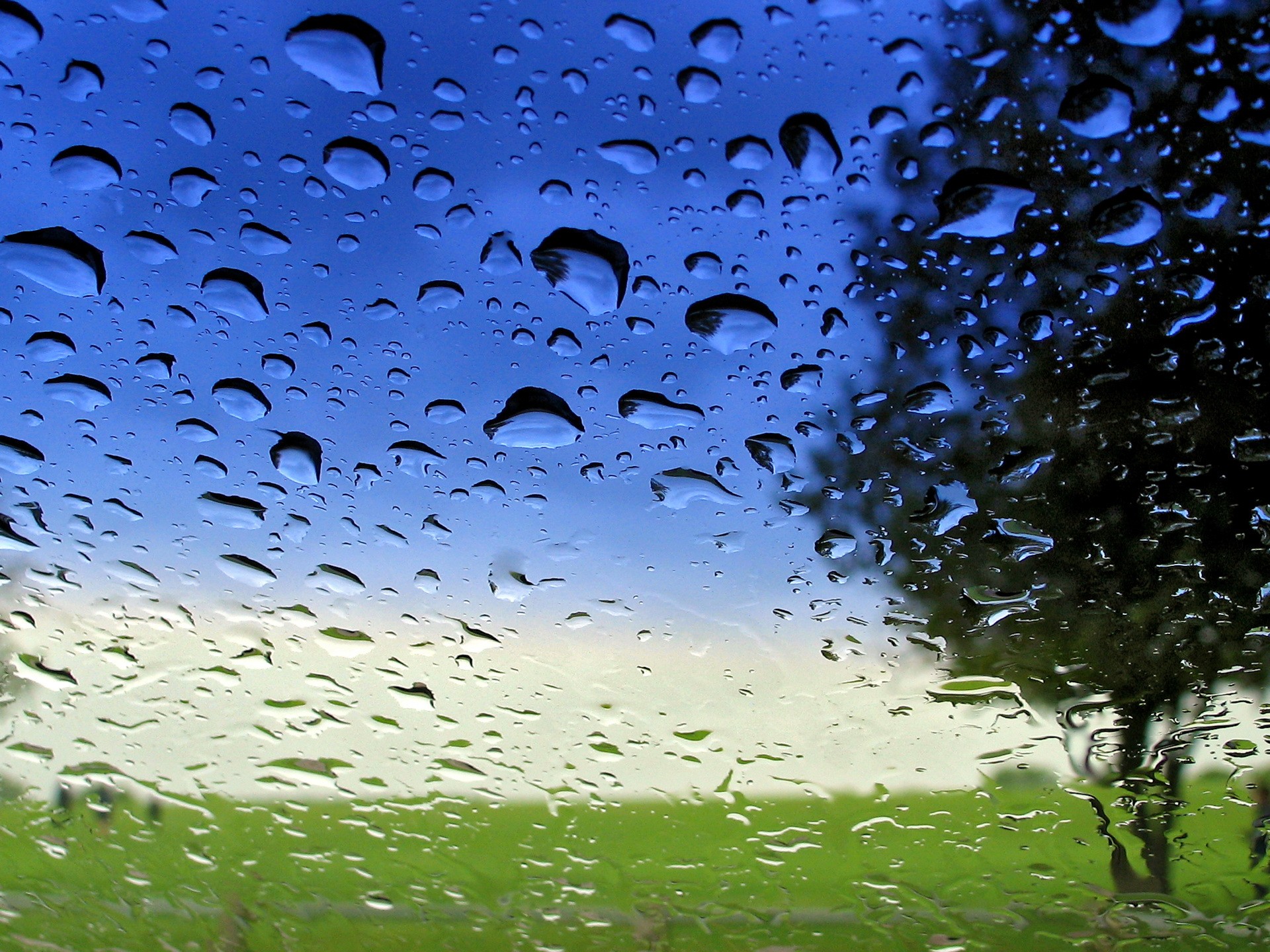 3d обои Капли дождя на стекле  дождь # 34557