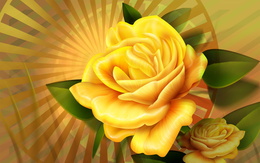 3d обои Желтая роза  листья
