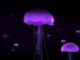 3d обои Фиолетовые медузы  подводные
