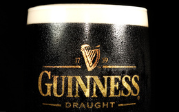 3d обои Кружка темного пива (Guinness Draught)  бренд