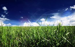 3d обои Зеленая трава и синее небо  3d графика