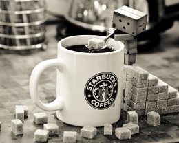 3d обои Starbucks coffee, danbo, сахар  милые