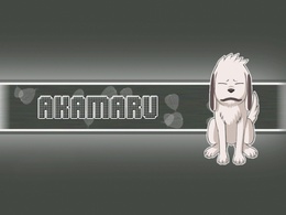 3d обои Akamaru (собачка Акамару)  собаки