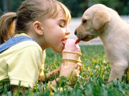3d обои Девочка и собачка кушают мороженое  собаки