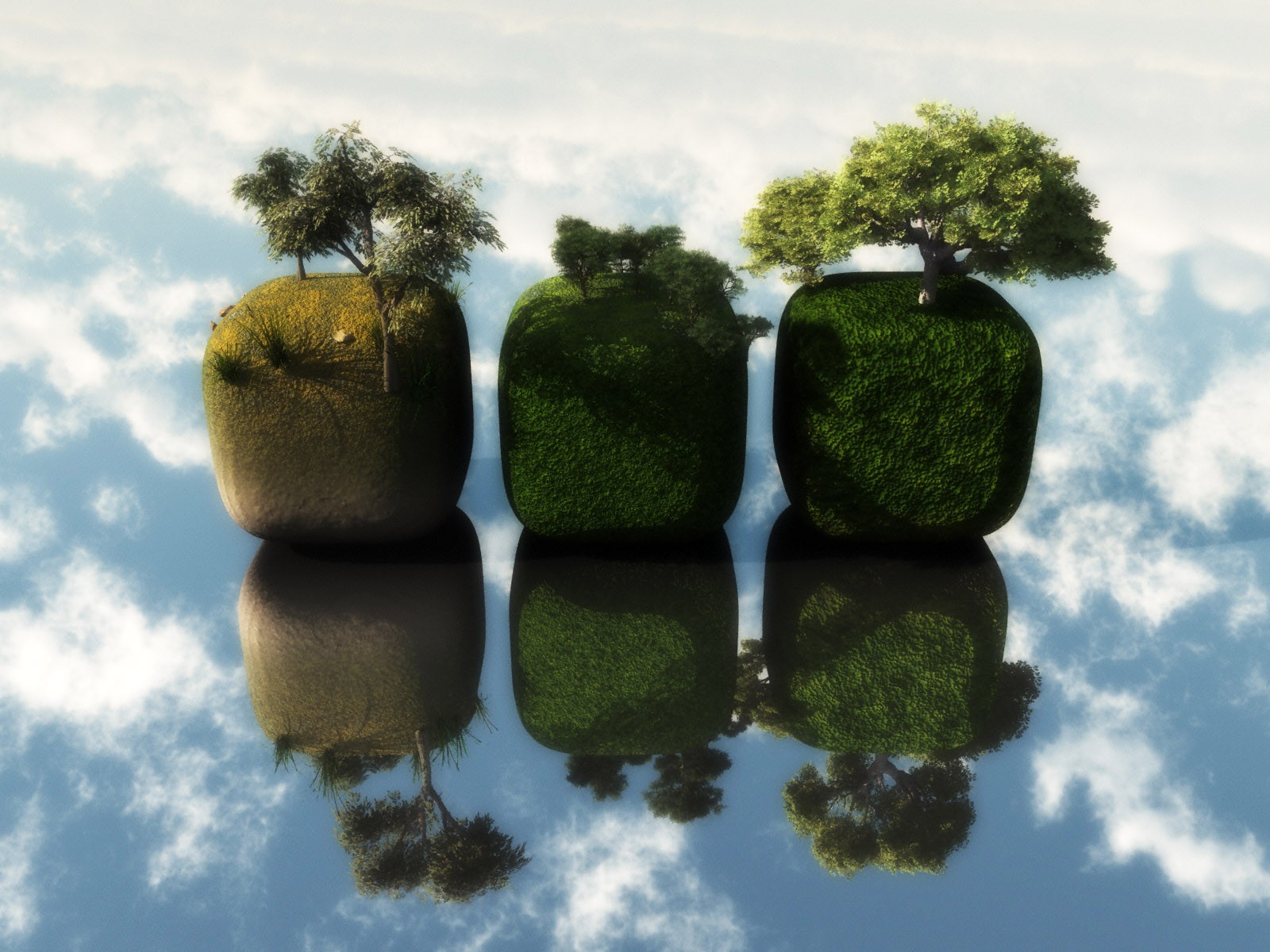 3d обои Три куба с деревьями отражаются в воде  сюрреализм # 82308