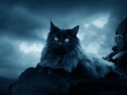 3d обои Черная кошка лениво разлеглась на каменном возвышении, словно царица на троне  ночь