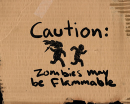 3d обои Caution. Zombies may be flammable  прикольные