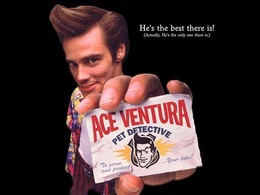 3d обои Ace Ventura: Pet Detective  смешные