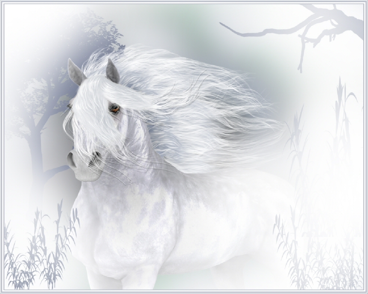 3d обои Белый конь  лошади # 51376
