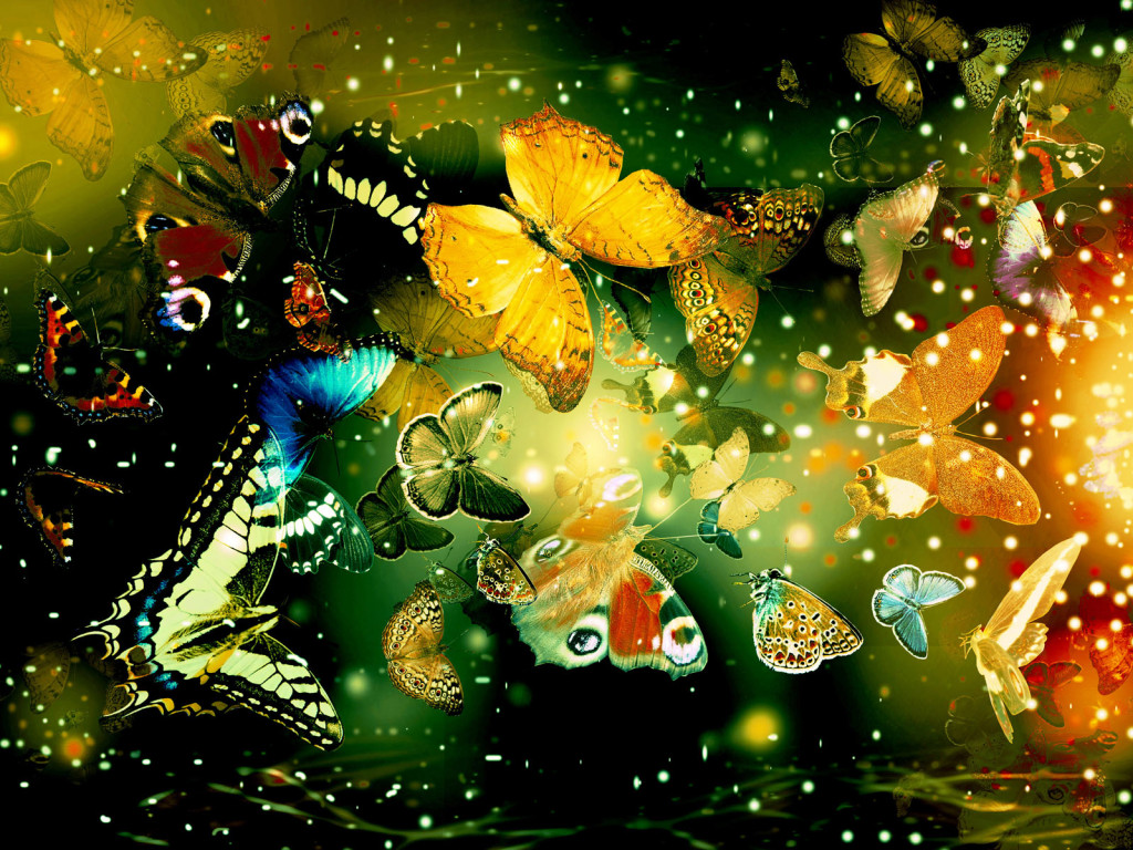 3d обои Бабочки  насекомые # 59994