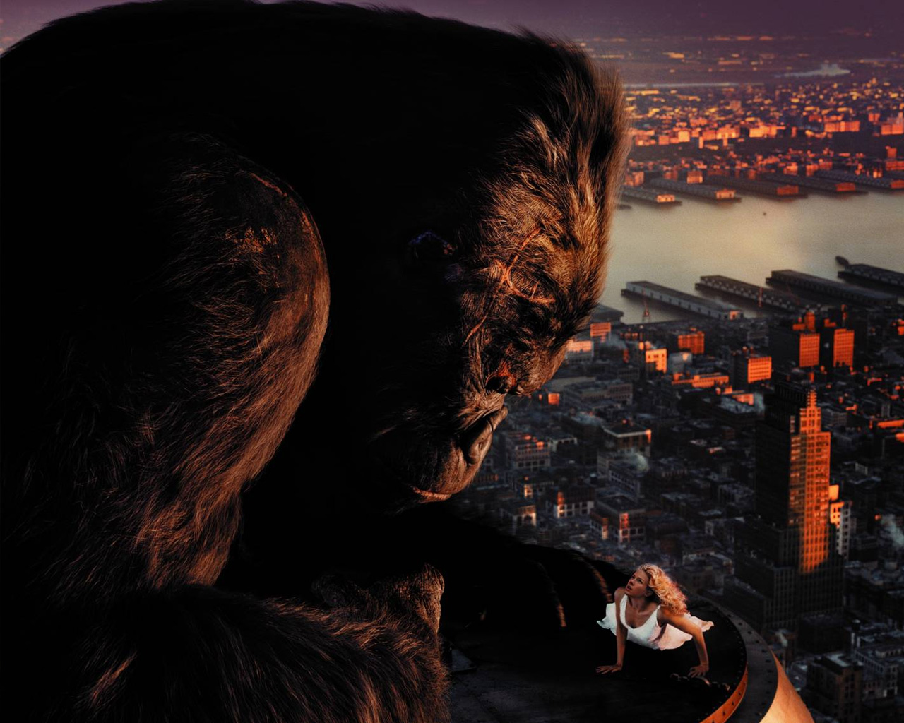 3d обои Кинг-Конг смотрит на Наоми Уоттс на крыше небоскреба из фильма «Кинг-Конг»  обезьяны # 67921