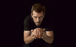 3d обои Доктор Хаус выносит мозг в сериале «House m.d.»  медицина