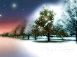 3d обои Merry Christmas Сказочной красоты зимний лес.  снег