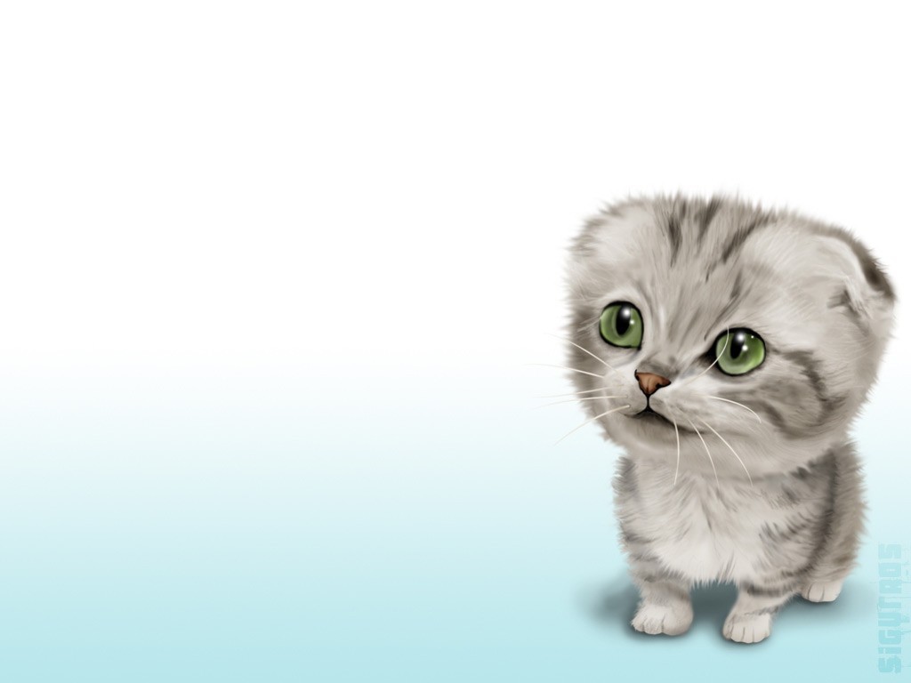 3d обои Смешной серый котёнок с зелёными глазами (Барсик в детстве)  смешные # 80300