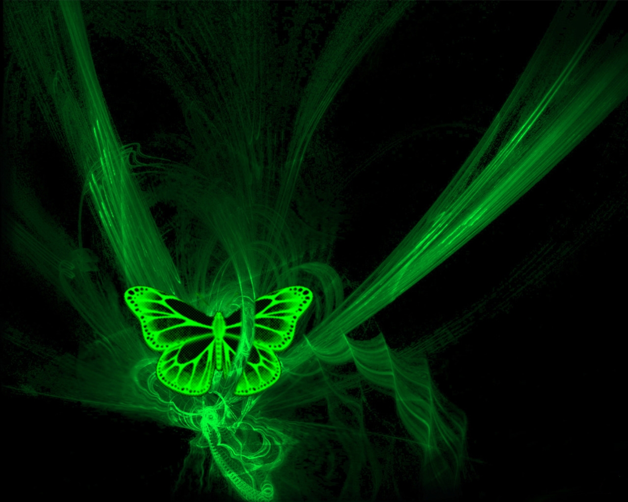 3d обои Зеленая бабочка  насекомые # 59990