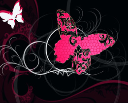 3d обои Розовая бабочка  бабочки