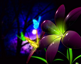 3d обои Волшебный цветок открывается только по ночам, на него слетаются бабочки  3d графика