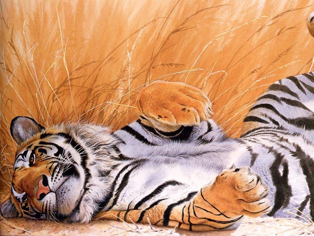 3d обои Я на солнышке лежу, я на солнышко гляжу! Тигр лежит на спине и задрал лапы.  позитив # 68734