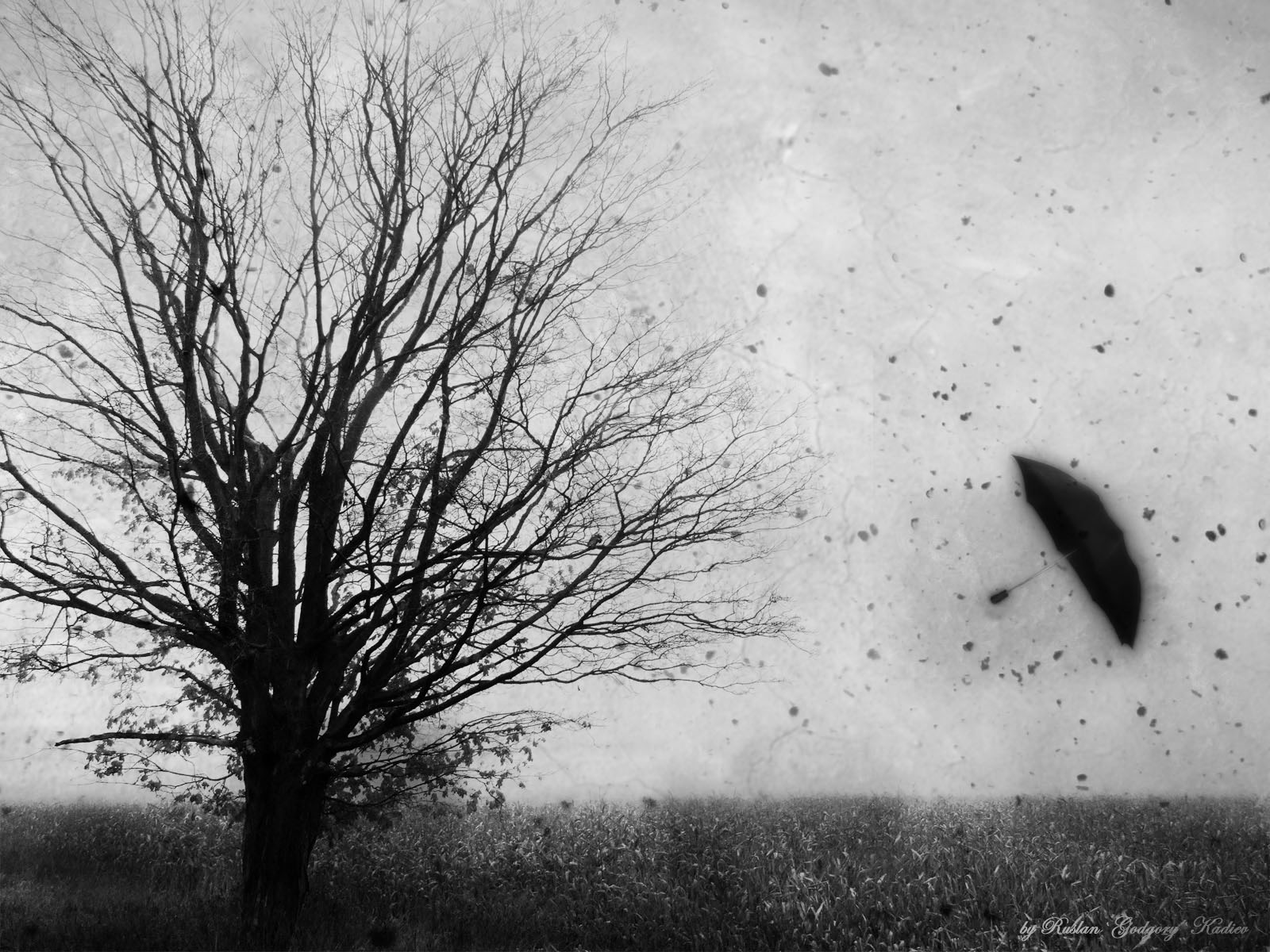 3d обои холод, зима, арт, фото, зонт, поле, свобода, одиночество, грусть by Ruslan Jodgory Kadiev  грустные # 26480