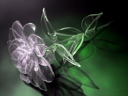 3d обои Стеклянный цветок  3d графика