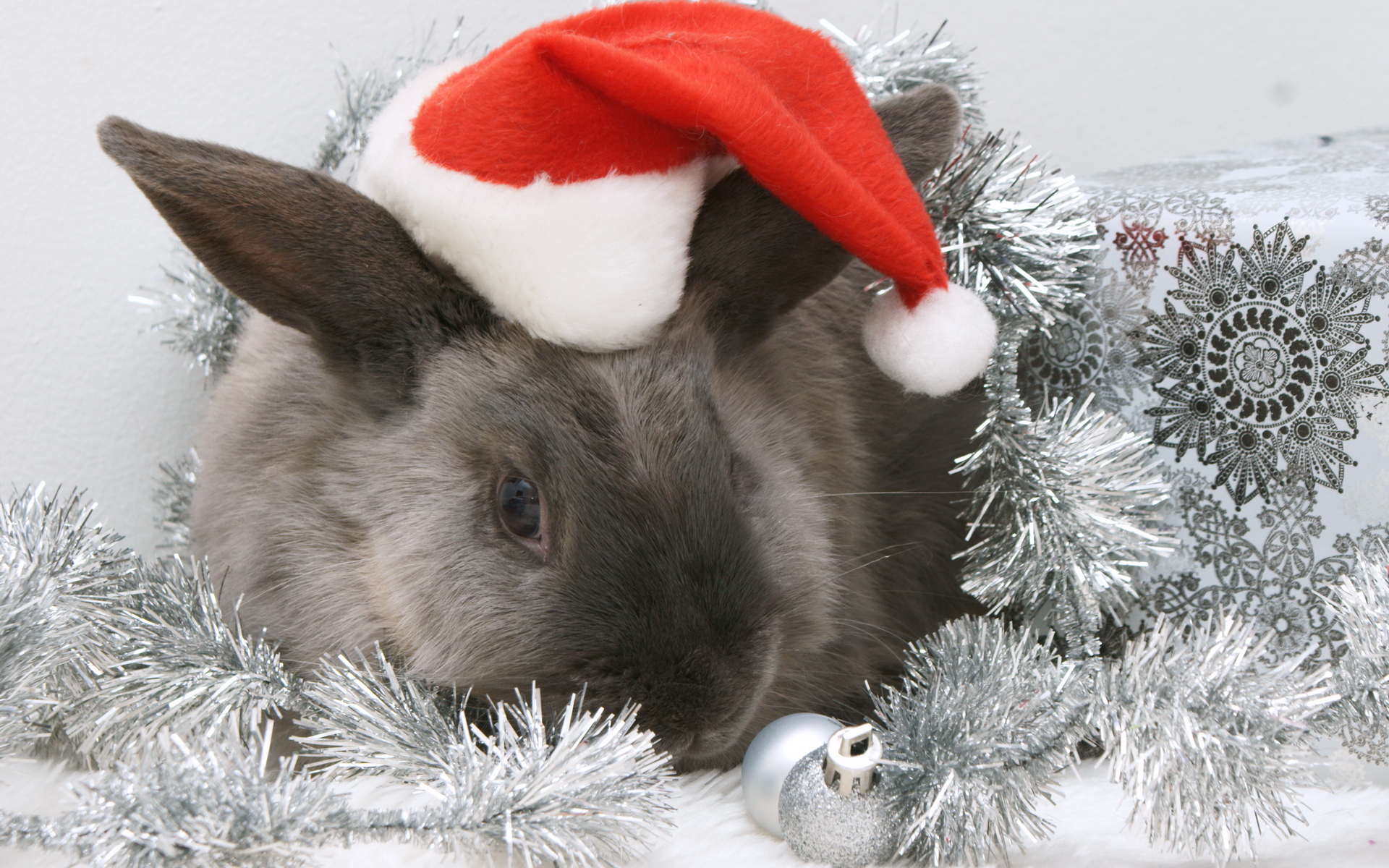 3d обои Кролик-символ 2011 года с шапке Деда Мороза рядом с елочными игрушкамиза  кролики # 49107