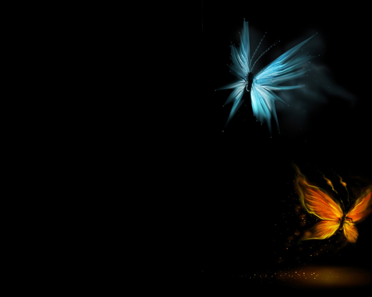 3d обои Две светящиеся ночные бабочки  насекомые # 59973