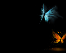 3d обои Две светящиеся ночные бабочки  бабочки
