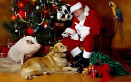 3d обои На ёлку за подарками к Деду Морозу пришли символы прошедших и будуших годов-Свинья, Собака, Кот и всем нашлось угощение.  игрушки