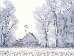 3d обои Домик с ветрянной мельницей в заснеженном поле  снег