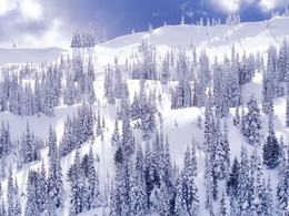 3d обои Снежная гора с ёлками, на нее красиво падают лучи солнца  зима