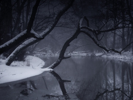 3d обои Над тёмной рекой угрожающе склонилось дерево, слишком ему тяжело под снегом  зима