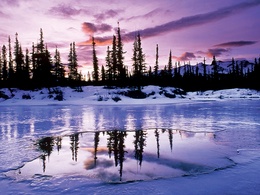 3d обои На замёрзшей реке подтаяла ледяная корка... над лесом лиловый закат  зима