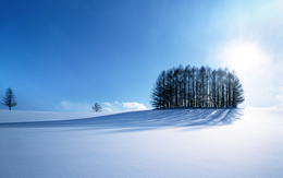 3d обои Ровная поляна нетронутого чистого снега... голубое небо и несколько деревьев  зима