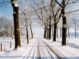 3d обои Заснеженная дорога между деревьев  зима