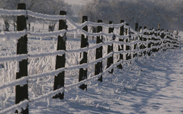 3d обои Забор покрытый снегом  зима