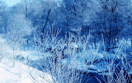 3d обои Синяя холодная река среди снега  зима