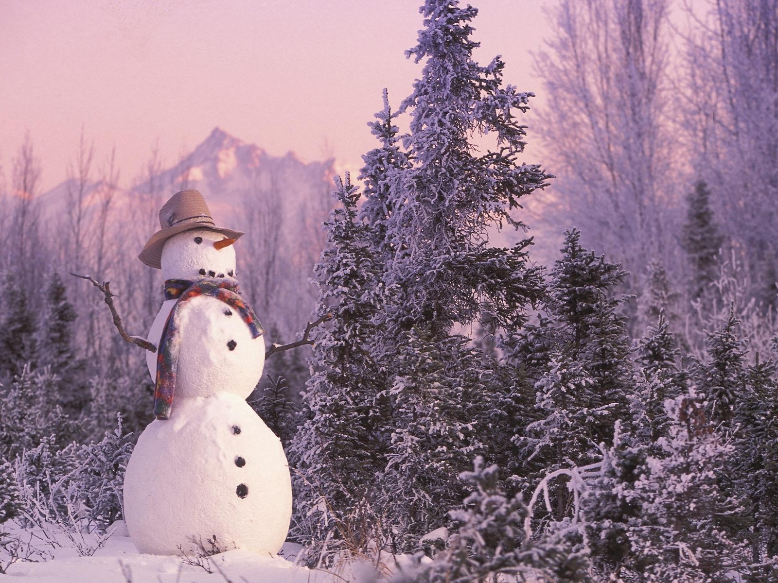 3d обои Снеговик в шляпе и шарфе посреди леса  зима # 41000