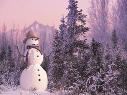 3d обои Снеговик в шляпе и шарфе посреди леса  зима