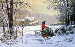 3d обои Маленький мальчик со своей собачкой волокут на санях из леса ёлку срубленню к новому году  снег