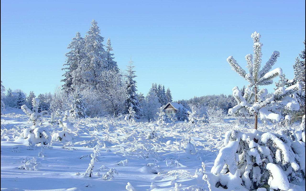 3d обои Снежный пейзаж, домик вдалеке  зима # 40997